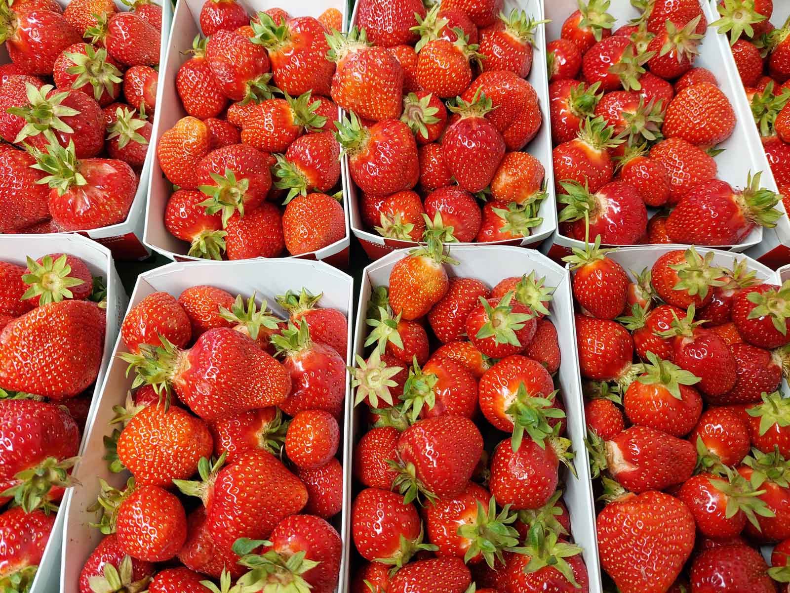Erdbeeren aus Boningen vom Kreuzplatzhof