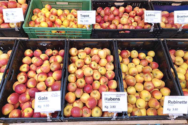 Apfel-Auswahl wie Gala, Rubens, Ladina, Topaz und mehrRubens,