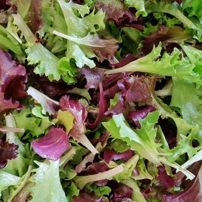 Schnittsalat vom Kreuzplatzhof